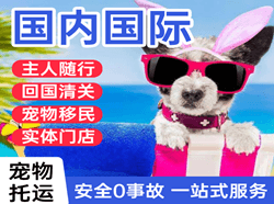 青岛机场快运国际宠物托运 【国